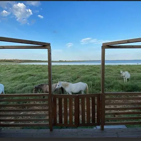 Mariusso Villeneuve-lès-Maguelone